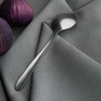 Набор ложек чайных из нержавеющей стали Доляна &laquo;Антураж&raquo;, длина 15 см, 6 шт, цвет серебряный