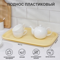 Поднос &laquo;Эгоист&raquo;, 40,6&times;26,6 см, цвет МИКС