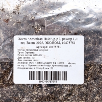 Хоста "American Halo", р-р I, размер L,1 шт, Весна 2025, ЭКОНОМ,