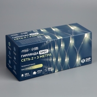 Гирлянда &laquo;Сеть&raquo; 2 &times; 3 м, IP44, УМС, прозрачная нить, 384 LED, свечение тёплое белое, 220 В