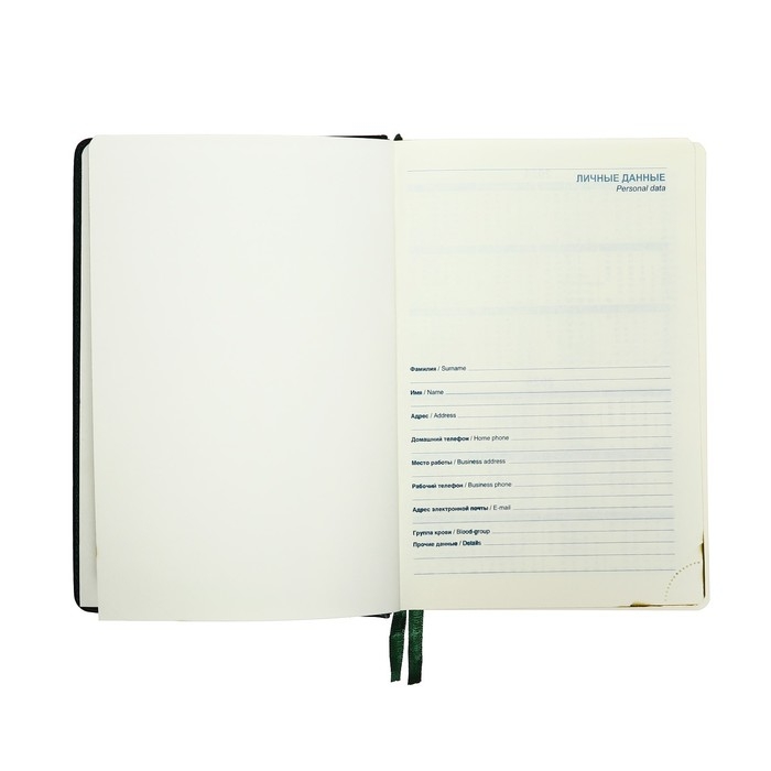 Ежедневник датированный 2025 года, A5, 168 листов в линейку, кожзам "Небраска", золотой срез, зеленый