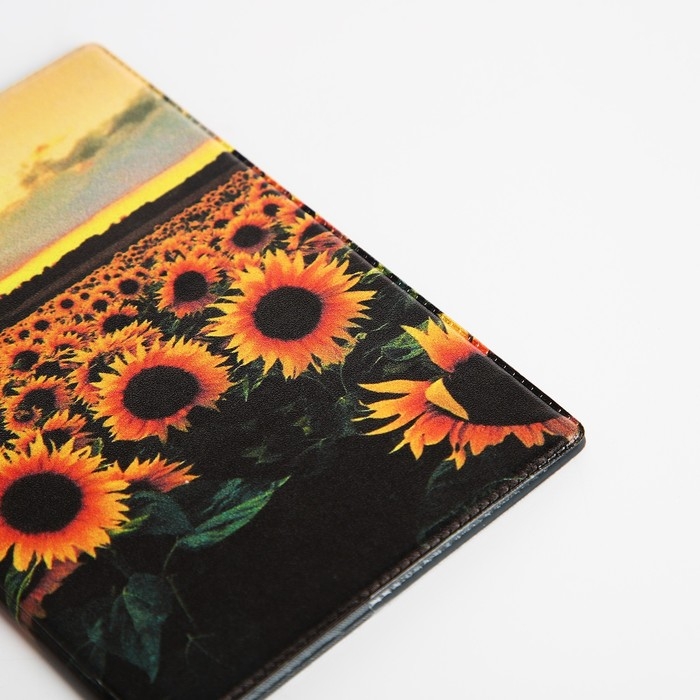 Обложка для паспорта, цвет разноцветный