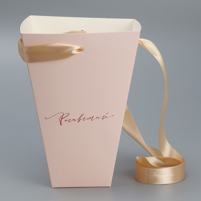 Переноска для цветов на лентах &laquo;Расцветай&raquo;, 17 х 25 х 9 см