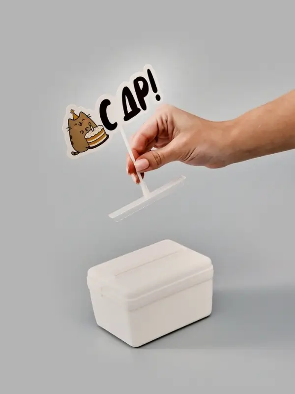 Коробка для маскировки денег в торте "С ДР", 11 х 8 х 6 см