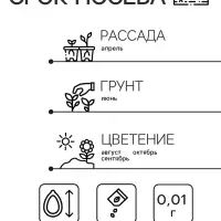 Семена Кортадерия Серебристая "Пампасная трава", ц/п,  0,01 гр.