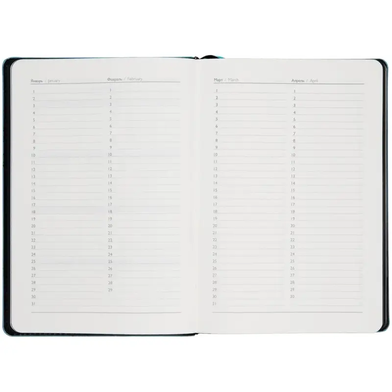 Ежедневник Alanis, недатированный, черный c голубым