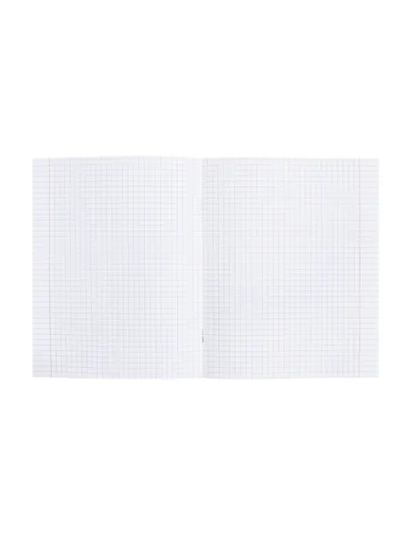 Тетрадь 48 листов в клетку &laquo;Приключения кота Пирожка&raquo; ОБЩЕСТВОЗНАНИЕ, обложка мелованная бумага, с интерактивным справочником, блок офсет