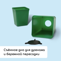 Набор для рассады: стаканы по 600 мл (8 шт.), поддон 36 &times; 18 см, цвет МИКС, Greengo