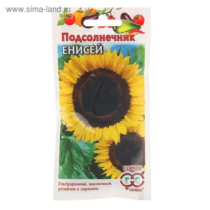 Семена Подсолнечник "Енисей", ц/п,  10 г
