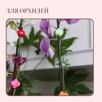 Опора для орхидей, h = 44 см, пластик, зелёная, МИКС