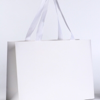 Пакет подарочный &laquo;Белый&raquo;, 28&times;20&times;10 см