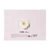 Альбом для рисования А4, 24 листа на скрепке &laquo;Цветы&raquo;, обложка мелованный картон, блок 100 г/м&sup2;