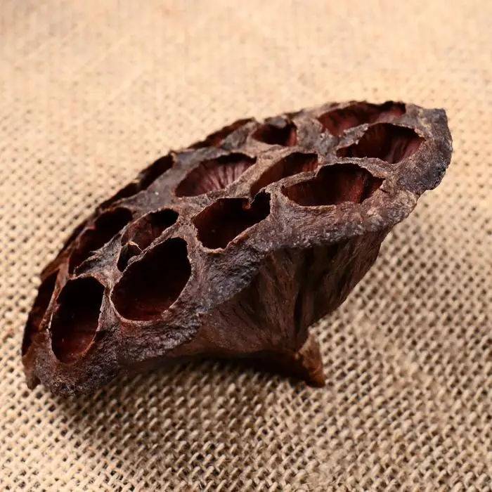 Декор сухоцвет &laquo;Лотос&raquo;, d=8-11 см, коричневый