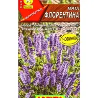 Семена Мята Флорентина, Ц/П,0,05 г