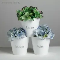 Набор кашпо 3 в 1 Please grow, 0,8 л, 11 х 12 см