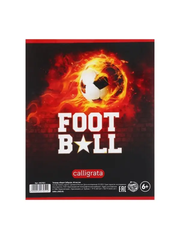 Тетрадь предметная 48 листов в клетку Calligrata, &laquo;Футбол. Английский язык&raquo;, обложка мелованный картон