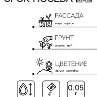 Семена Астра "Джувел Родолит", ц/п,  однолетняя,