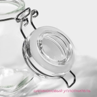 Банка для хранения сыпучих Доляна &laquo;Овал&raquo;, 100 мл, 5.5&times;9 см, с бугельным замком, стекло