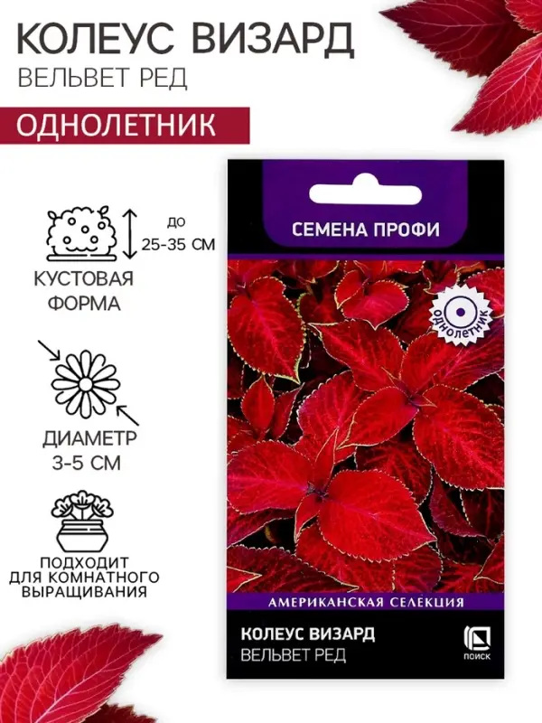 Семена цветов Колеус Визард Вельвет ред, 10шт