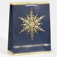 Пакет подарочный новогодний ламинированный &laquo;Снежинка&raquo;, MS 18 х 23 х 8 см