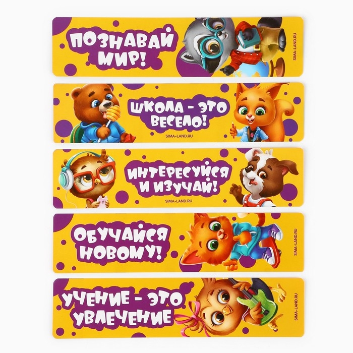 Набор первоклассника 32 предмета &laquo;1 сентября: Учись на 5+&raquo;