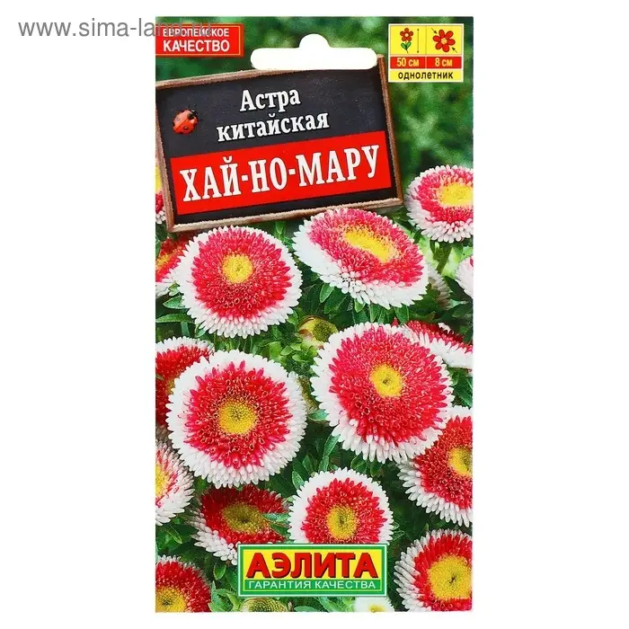 Семена цветов Астра "Хай-но-мару" помпонная, О, 0,1 г