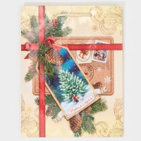 Пакет подарочный новогодний ламинированный &laquo;С Новым годом!&raquo;, MS 18 х 23 х 8 см