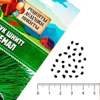 Семена Лук шнитт "Чемал", 0,2 г