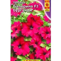 Семена цветов Петуния Балерина бургунди крупноцветковая F1  (драже) С. Farao, Ц/П,7 шт.
