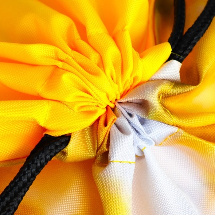 Мешок для обуви &laquo;Забавный корги&raquo; 2 секции, 30&times;40 см