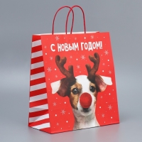 Пакет подарочный новогодний крафтовый &laquo;Олень ты&raquo;, 28 х 32 х 15 см