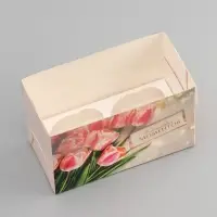 Коробка для 2 капкейка с прозрачной крышкой, &laquo;Счастливых моментов&raquo;, 16&times;8&times;10 см