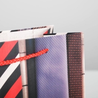 Пакет подарочный ламинированный вертикальный, упаковка, &laquo;С Праздником&raquo;, ML 23 х 27 х 8 см