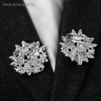 Зажим для кардигана &laquo;Соцветие&raquo;, цвет радужный в серебре