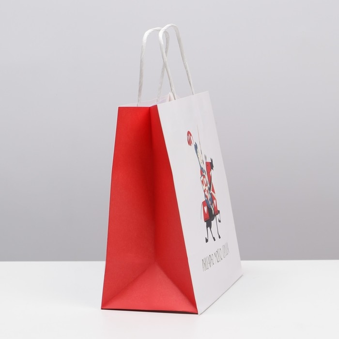 Пакет подарочный, упаковка, &laquo;Рыцарю&raquo;, 22 х 22 х 11 см