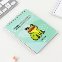 Скетчбук &laquo;Лягушка&raquo;, А6, 40 листов, 100 г/м