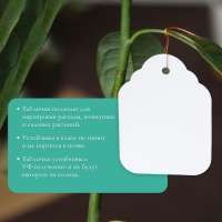 Бирки садовые для маркировки, 6,5 &times; 5 см, набор 20 шт., пластик, белые, Greengo