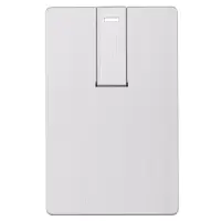 Флешка Platinum Card, 32 Гб, серебристая