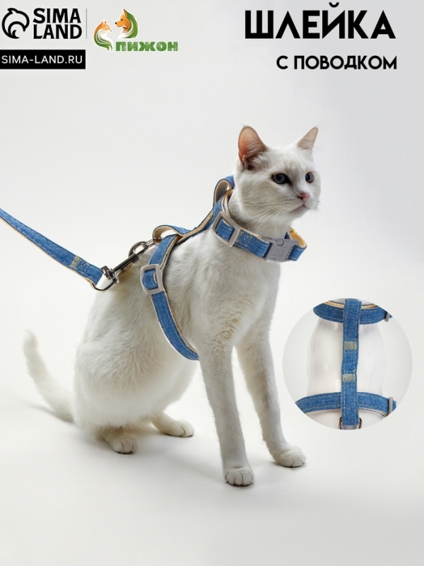 Комплект амуниции "Жаккард", поводок 120 х 1,5 см, синий