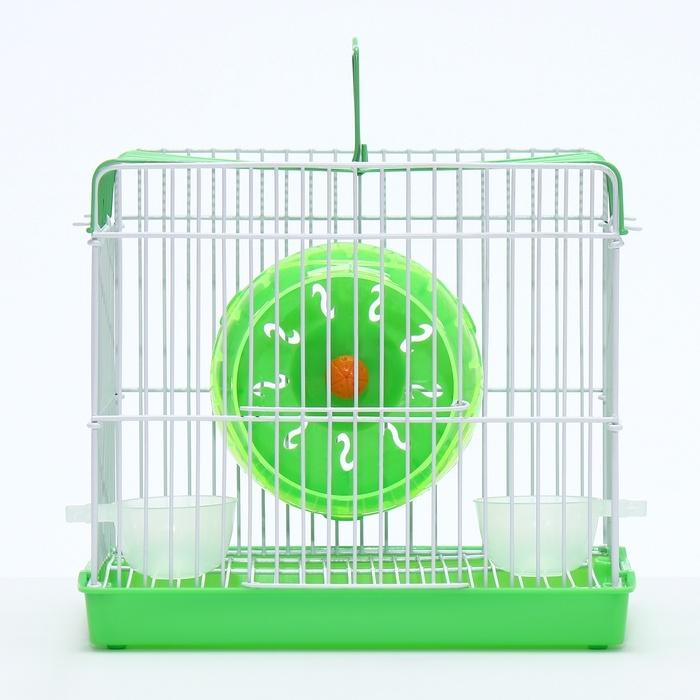 Клетка для грызунов укомплектованная RT-2q, 22 х 16 х 20 см, зелёная (фасовка 30 шт)