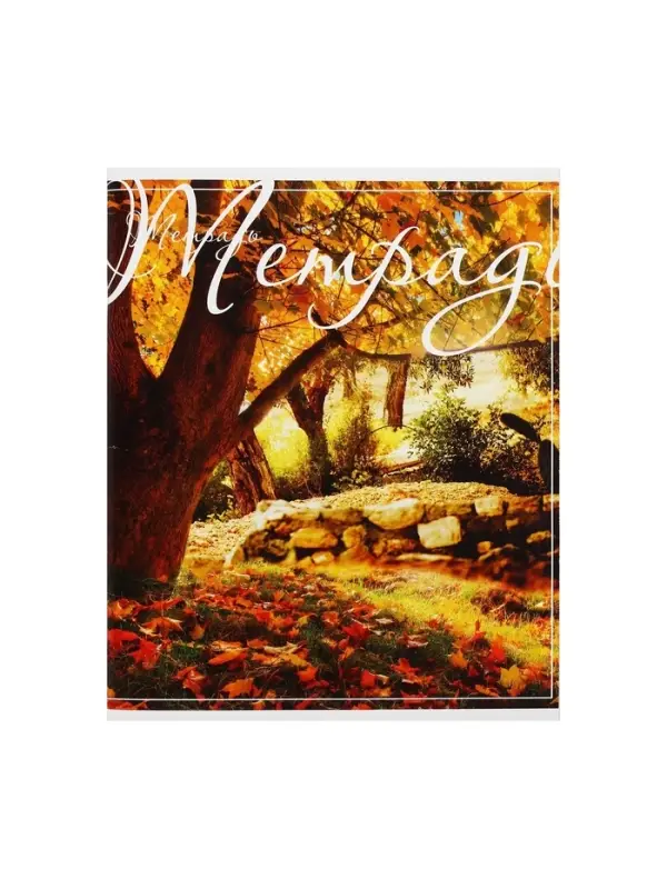 Тетрадь 48 листов в клетку Calligrata &laquo;Пейзаж&raquo;, обложка мелованный картон, блок №2, белизна 75% (серые листы), МИКС