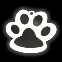 Светоотражающий элемент &laquo;Лапка&raquo;, двусторонний, 5,5 &times; 4,8 см, цвет белый