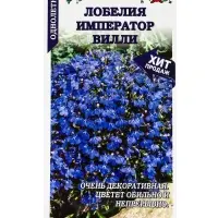 Семена Лобелия Император Вилли /Сотка/ 0,05 г голубая/*1800