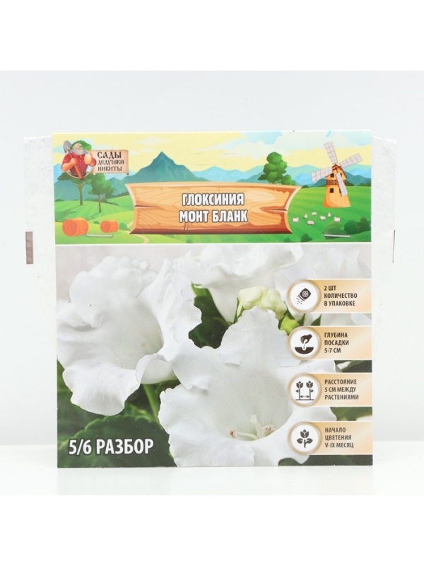 Глоксиния &laquo;Монт Бланк&raquo;, многолетник, комнатный, луковица в пакете с перфорацией, р-р 5/6, 2 шт.