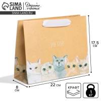 Пакет подарочный крафтовый, упаковка, &laquo;Тебе&raquo;, 22 х 17,5 х 8 см