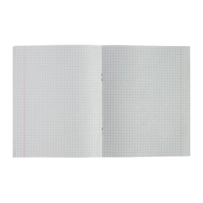 Комплект тетрадей из 4 штук, 96 листов в клетку Calligrata "Неделя отпуска", обложка мелованный картон, блок №2, белизна 75% (серые листы)