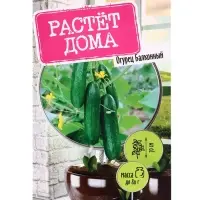 Семена "Растёт дома!" Огурец Балконный 5 шт.