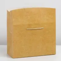Пакет&mdash;коробка &laquo;Крафтовый&raquo;, 28 &times; 20 &times; 13 см