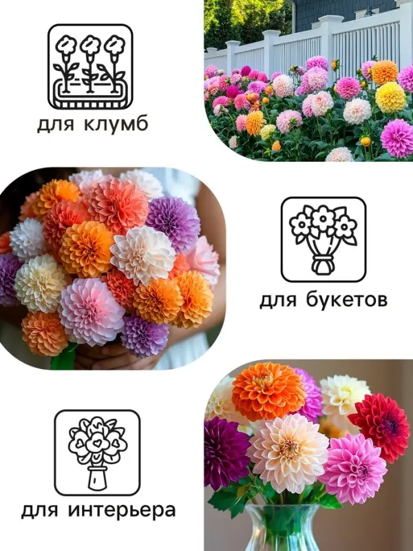 Семена цветов Георгин "Махровая смесь", 0,3 г