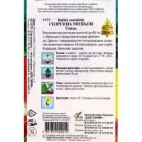 Семена цветов Георгина Миньон (смесь) 15 шт